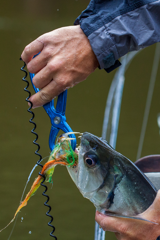 Retractable Dog Leash Catches FISH! DIY Fishing 