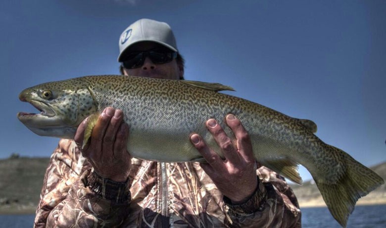 Spring 2013 – UT State Tiger Trout Record – released
