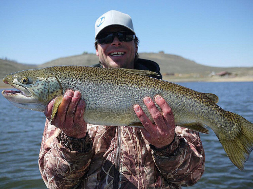 29″ Tiger Trout – UT State record – released
